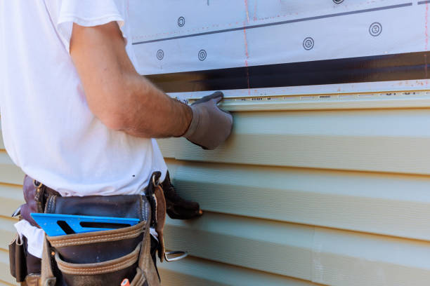 Affordable Siding Repair solutions in Homeland, GA